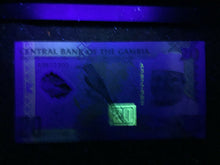 Load image into Gallery viewer, Gambia 20 Dalasis 2014 Polymer Banknote World Paper Money UNC Currency Bill Note - Collectors Couch