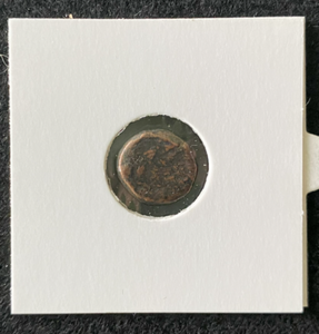 First Jewish Coin Album : Ancient Judaean Coin of the Second Temple Period