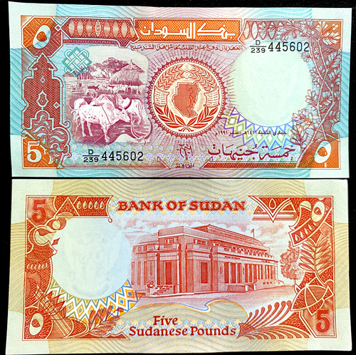 Sudan 5 Pounds 1991 Banknote World Paper Money UNC Currency Bill Note - Collectors Couch