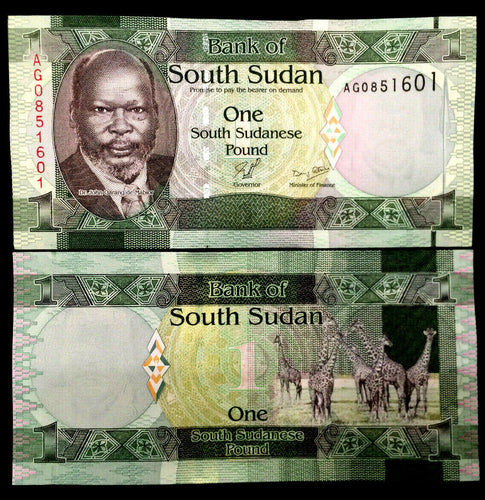 South Sudan 1 Pound 2011 Banknote World Paper Money UNC Currency Bill Note - Collectors Couch