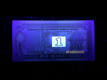 Load image into Gallery viewer, Turkmenistan 1 Manat Year 1993 Banknote World Paper Money UNC Currency Bill Note - Collectors Couch