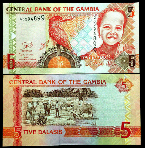 Gambia 5 Dalasis Banknote World Paper Money UNC Currency Bill Note - Collectors Couch