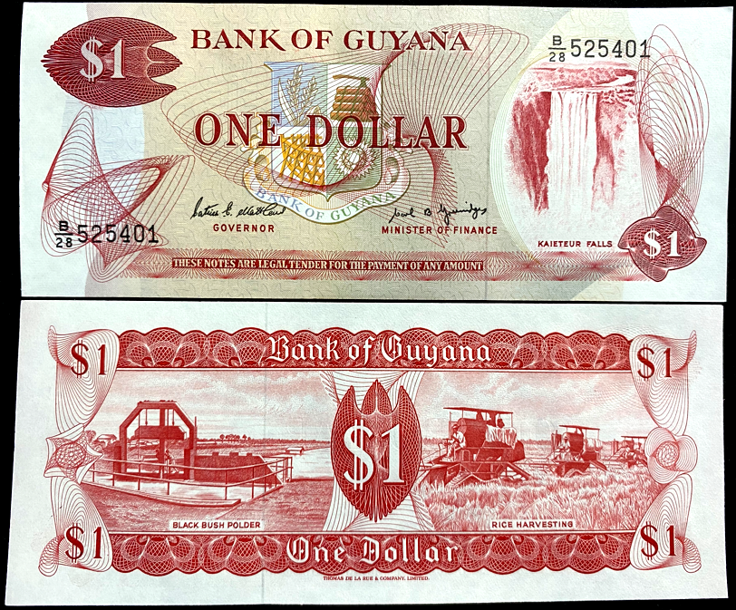 Guyana 1 Dollar 1989 Banknote World Paper Money UNC Currency Bill Note