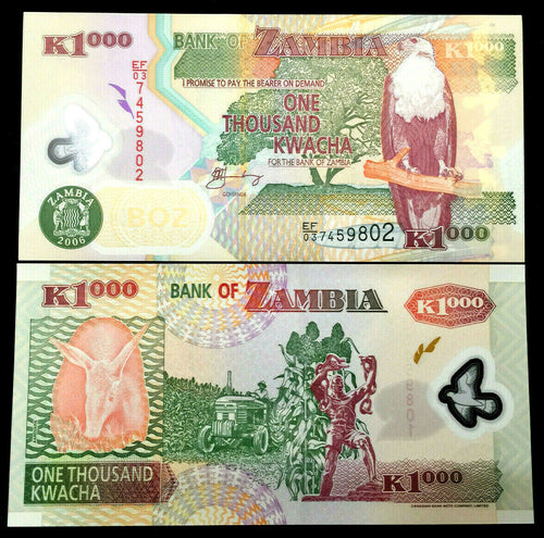 Zambia 1000 Kwacha 2006 Polymer Banknote World Paper Money UNC Currency Bill - Collectors Couch