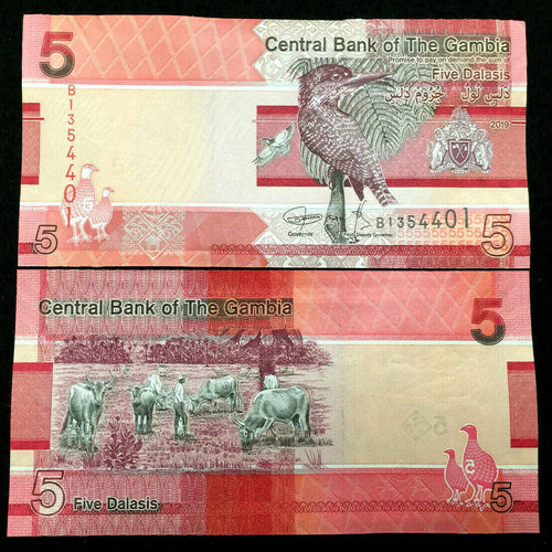 Gambia 5 Dalasis 2019 Banknote World Paper Money UNC Currency Bill Note - Collectors Couch