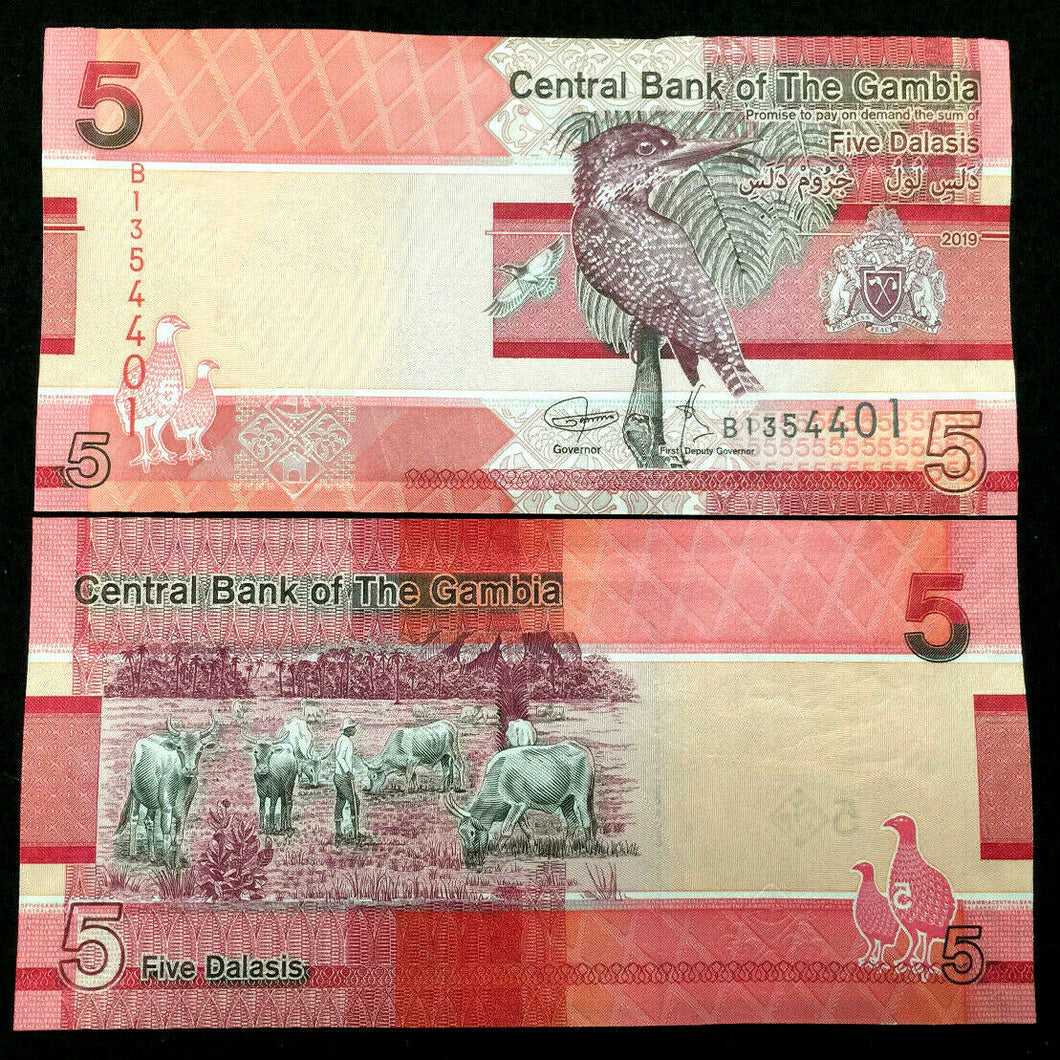 Gambia 5 Dalasis 2019 Banknote World Paper Money UNC Currency Bill Note
