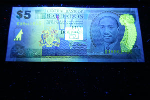 Barbados 5 Dollars Banknote World Paper Money UNC Currency Bill Note - Collectors Couch