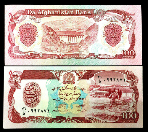 Afghanistan 100 Afghanis 1991 Banknote World Paper Money UNC Currency Bill Note - Collectors Couch