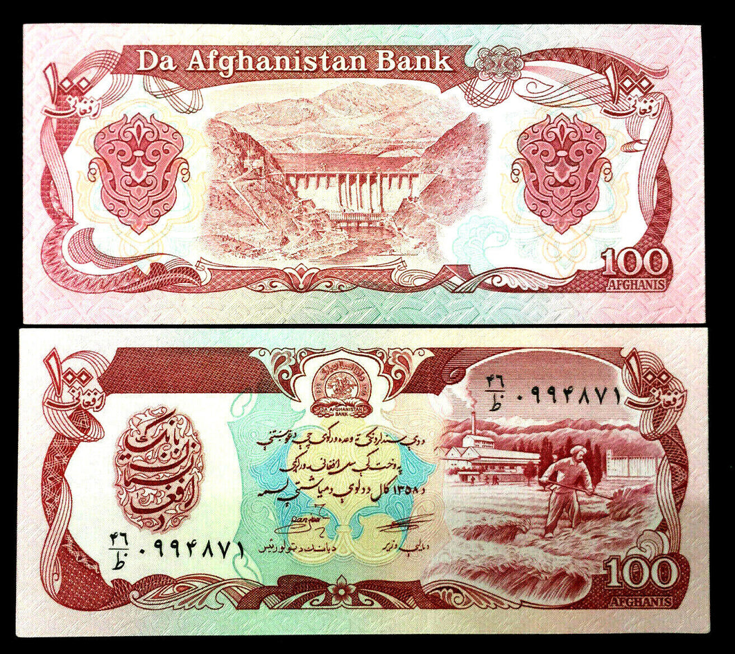 Afghanistan 100 Afghanis 1991 Banknote World Paper Money UNC Currency Bill Note - Collectors Couch