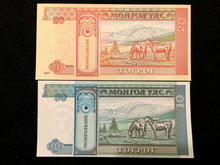 Load image into Gallery viewer, Mongolia UNC Banknote Set - 10 20 50 Mongo and 1 5 10 20 50 100 Tugrik