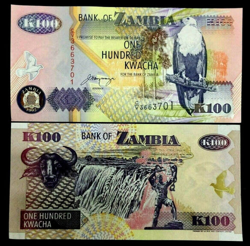 Zambia 100 Kwacha Banknote World Paper Money UNC Currency Bill Note - Collectors Couch