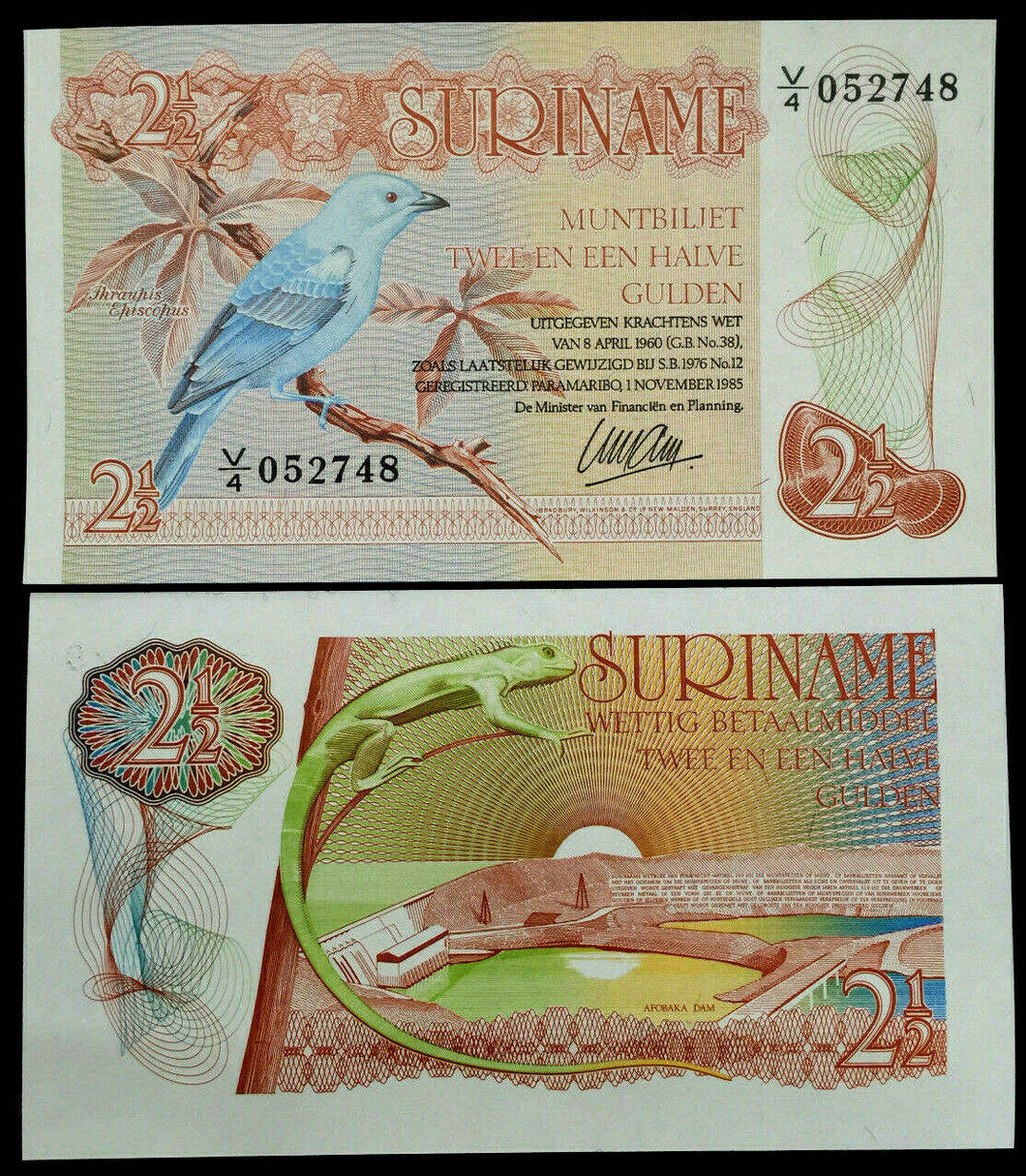 Suriname 2 1/2 Gulden 1985 Banknote World Paper Money UNC Currency Bird Lizard
